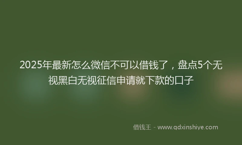 2025年最新怎么微信不可以借钱了，盘点5个无视黑白无视征信申请就下款的口子