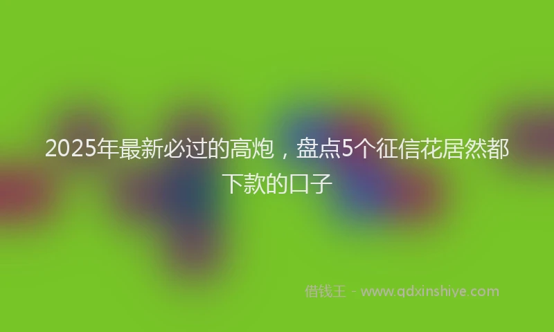 2025年最新必过的高炮，盘点5个征信花居然都下款的口子