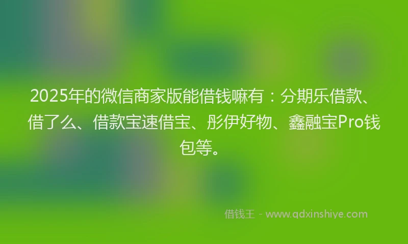 2025年的微信商家版能借钱嘛有：分期乐借款、借了么、借款宝速借宝、彤伊好物、鑫融宝Pro钱包等。