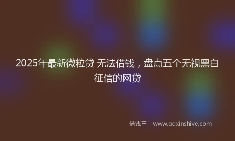 2025年最新微粒贷 无法借钱，盘点五个无视黑白征信的网贷