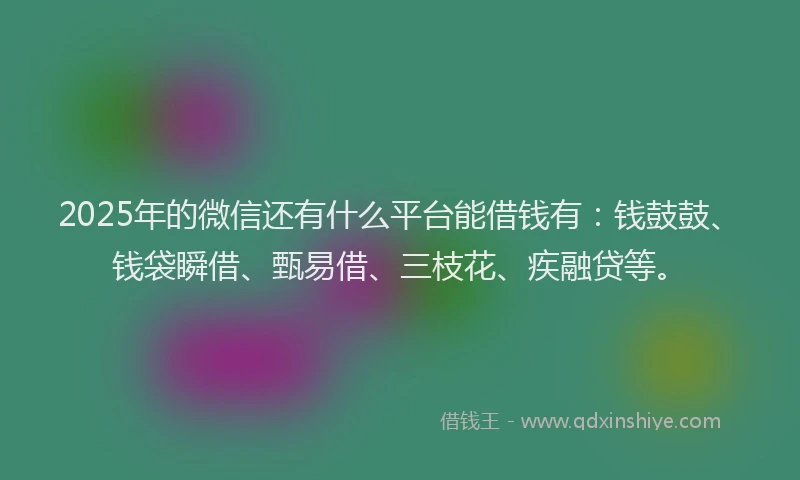 2025年的微信还有什么平台能借钱有：钱鼓鼓、钱袋瞬借、甄易借、三枝花、疾融贷等。