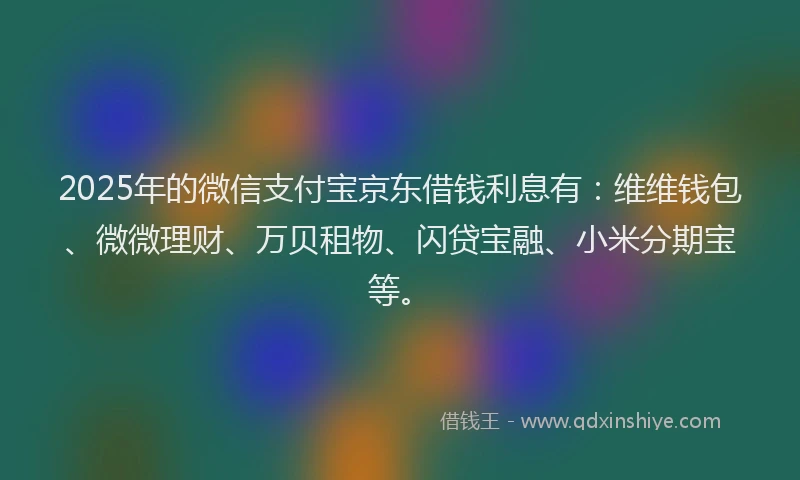 2025年的微信支付宝京东借钱利息有：维维钱包、微微理财、万贝租物、闪贷宝融、小米分期宝等。