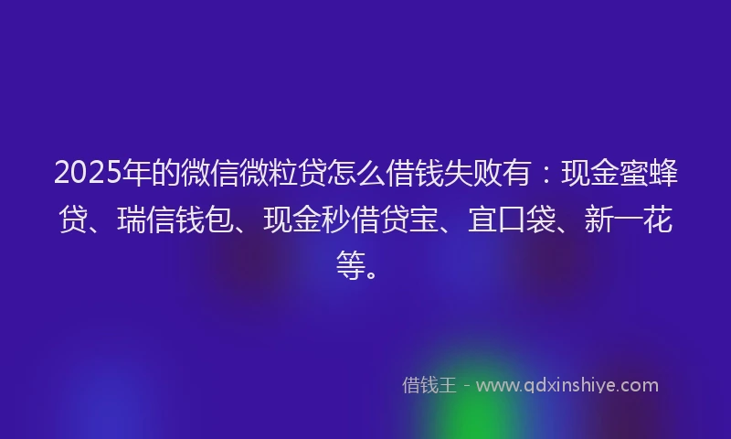 2025年的微信微粒贷怎么借钱失败有：现金蜜蜂贷、瑞信钱包、现金秒借贷宝、宜口袋、新一花等。