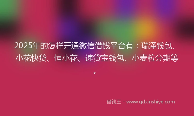 2025年的怎样开通微信借钱平台有：瑞泽钱包、小花快贷、恒小花、速贷宝钱包、小麦粒分期等。