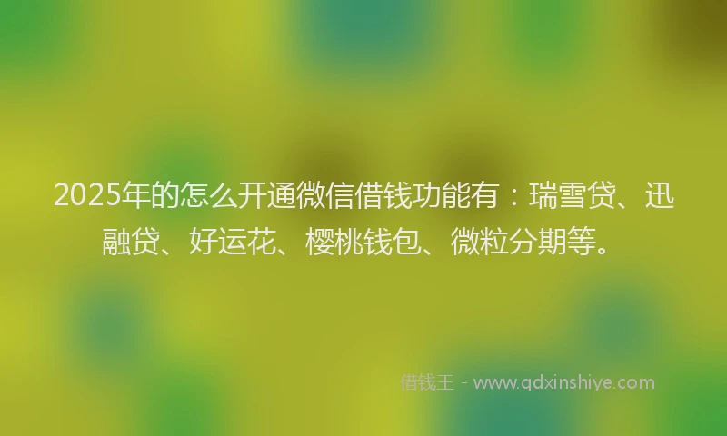 2025年的怎么开通微信借钱功能有：瑞雪贷、迅融贷、好运花、樱桃钱包、微粒分期等。