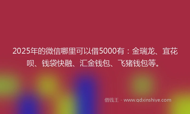 2025年的微信哪里可以借5000有：金瑞龙、宜花呗、钱袋快融、汇金钱包、飞猪钱包等。