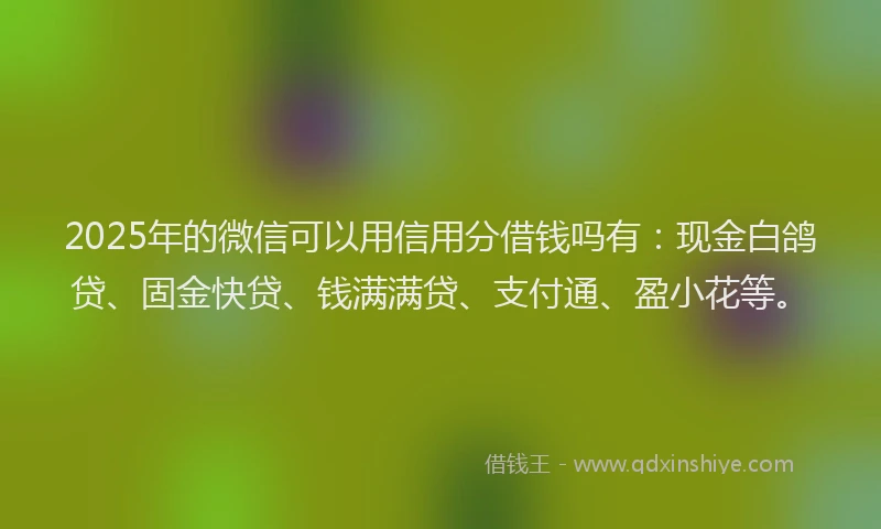 2025年的微信可以用信用分借钱吗有：现金白鸽贷、固金快贷、钱满满贷、支付通、盈小花等。