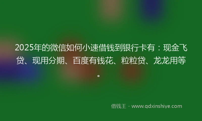2025年的微信如何小速借钱到银行卡有：现金飞贷、现用分期、百度有钱花、粒粒贷、龙龙用等。