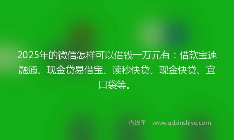 2025年的微信怎样可以借钱一万元有：借款宝速融通、现金贷易借宝、读秒快贷、现金快贷、宜口袋等。