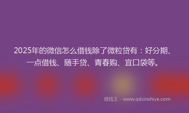 2025年的微信怎么借钱除了微粒贷有：好分期、一点借钱、随手贷、青春购、宜口袋等。