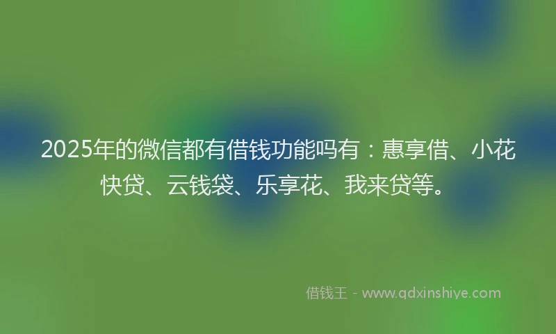 2025年的微信都有借钱功能吗有：惠享借、小花快贷、云钱袋、乐享花、我来贷等。
