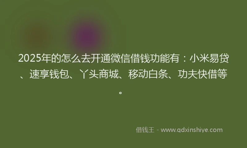 2025年的怎么去开通微信借钱功能有：小米易贷、速享钱包、丫头商城、移动白条、功夫快借等。