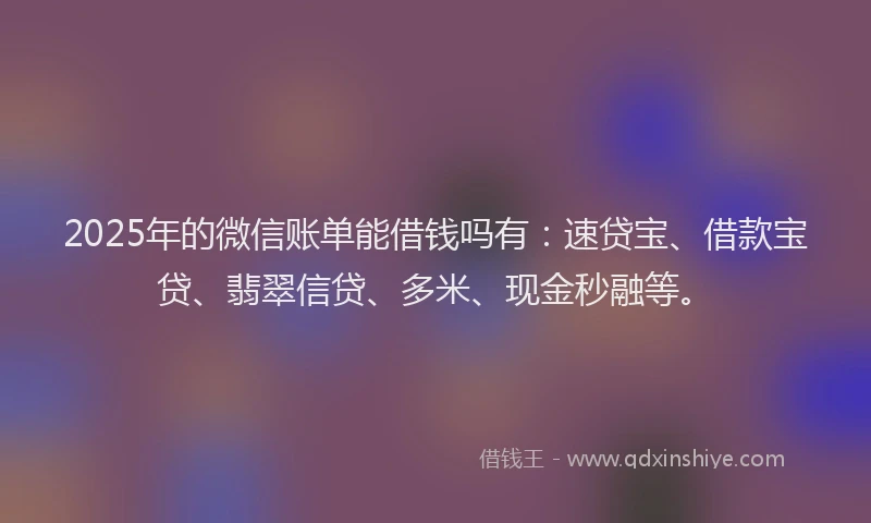 2025年的微信账单能借钱吗有：速贷宝、借款宝贷、翡翠信贷、多米、现金秒融等。