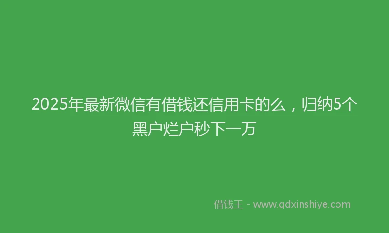2025年最新微信有借钱还信用卡的么，归纳5个黑户烂户秒下一万
