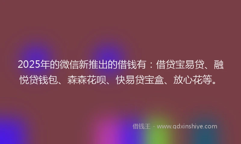 2025年的微信新推出的借钱有：借贷宝易贷、融悦贷钱包、森森花呗、快易贷宝盒、放心花等。