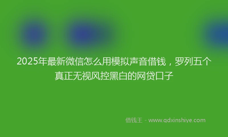 2025年最新微信怎么用模拟声音借钱，罗列五个真正无视风控黑白的网贷口子