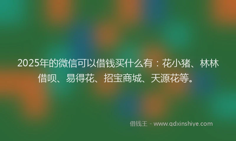 2025年的微信可以借钱买什么有：花小猪、林林借呗、易得花、招宝商城、天源花等。