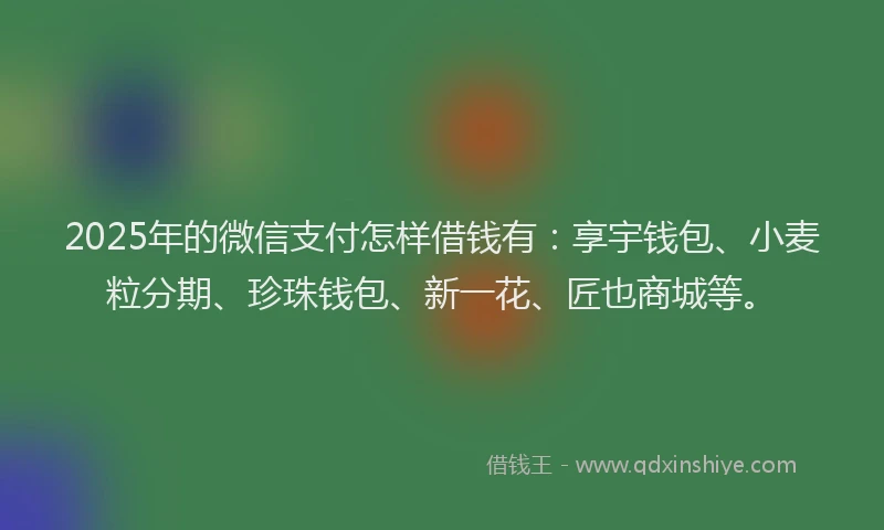 2025年的微信支付怎样借钱有：享宇钱包、小麦粒分期、珍珠钱包、新一花、匠也商城等。