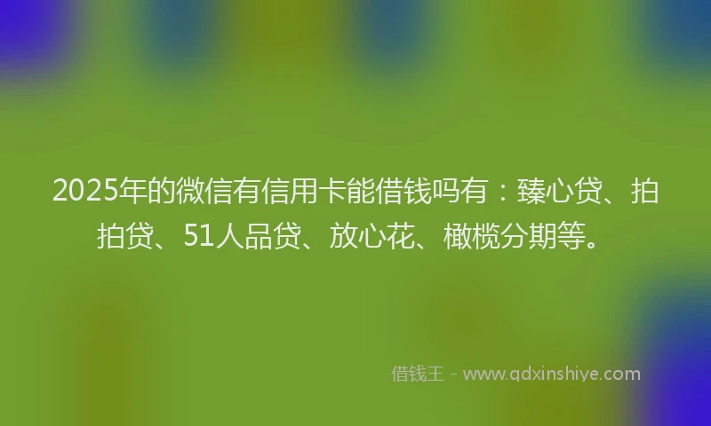 2025年的微信有信用卡能借钱吗有：臻心贷、拍拍贷、51人品贷、放心花、橄榄分期等。