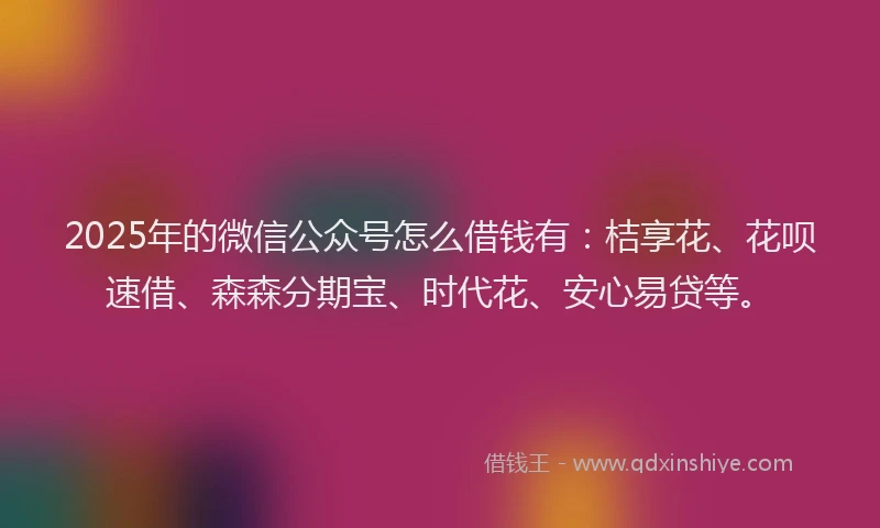 2025年的微信公众号怎么借钱有：桔享花、花呗速借、森森分期宝、时代花、安心易贷等。