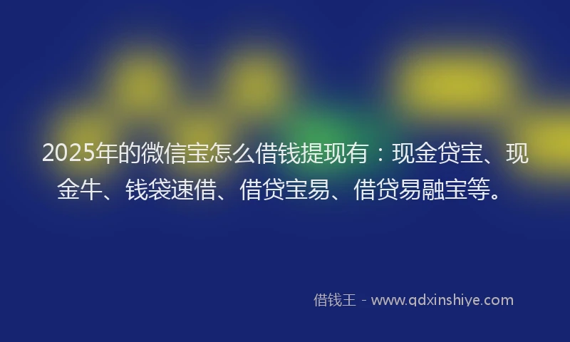 2025年的微信宝怎么借钱提现有：现金贷宝、现金牛、钱袋速借、借贷宝易、借贷易融宝等。