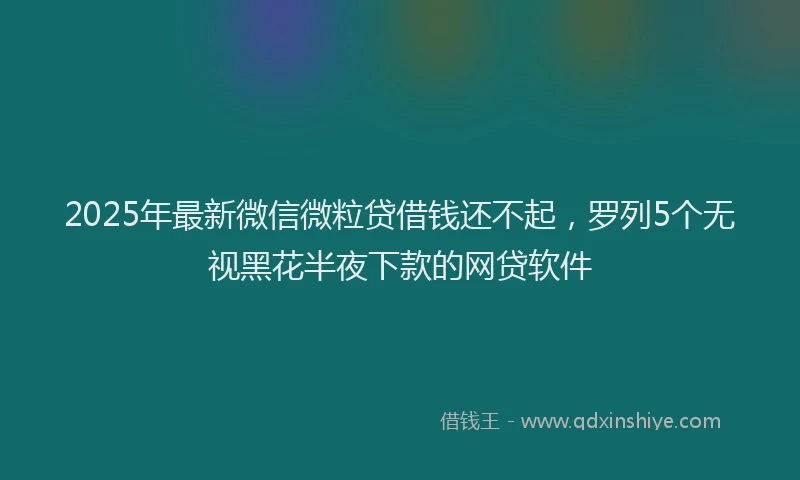 2025年最新微信微粒贷借钱还不起，罗列5个无视黑花半夜下款的网贷软件