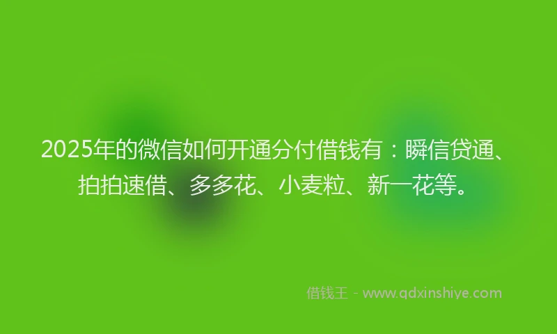 2025年的微信如何开通分付借钱有：瞬信贷通、拍拍速借、多多花、小麦粒、新一花等。