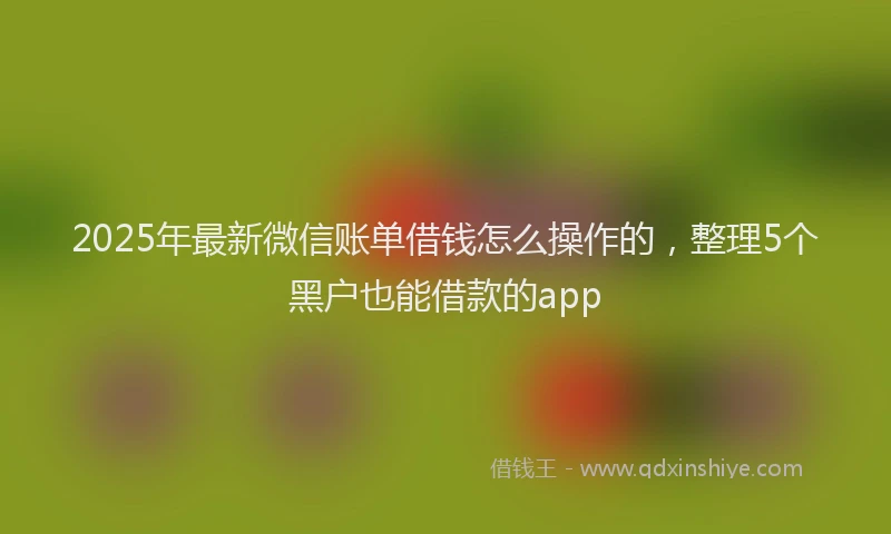 2025年最新微信账单借钱怎么操作的，整理5个黑户也能借款的app