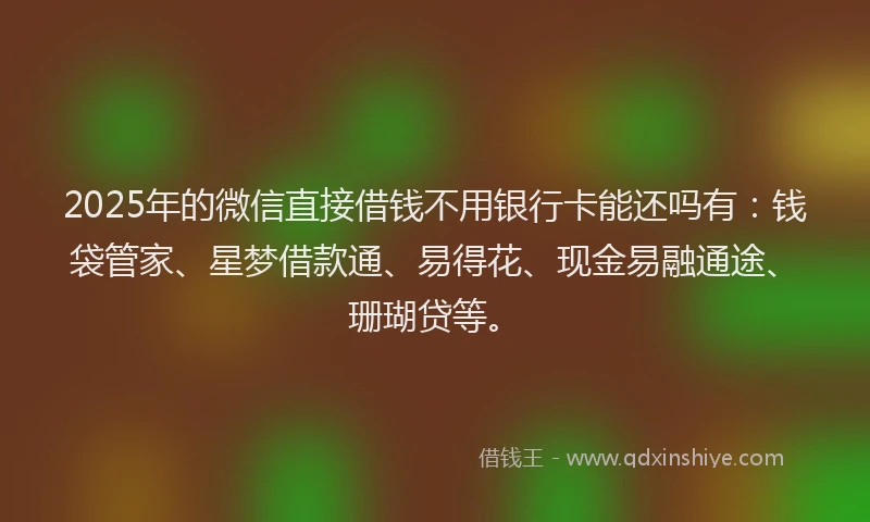2025年的微信直接借钱不用银行卡能还吗有：钱袋管家、星梦借款通、易得花、现金易融通途、珊瑚贷等。