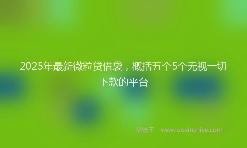 2025年最新微粒贷借袋，概括五个5个无视一切下款的平台