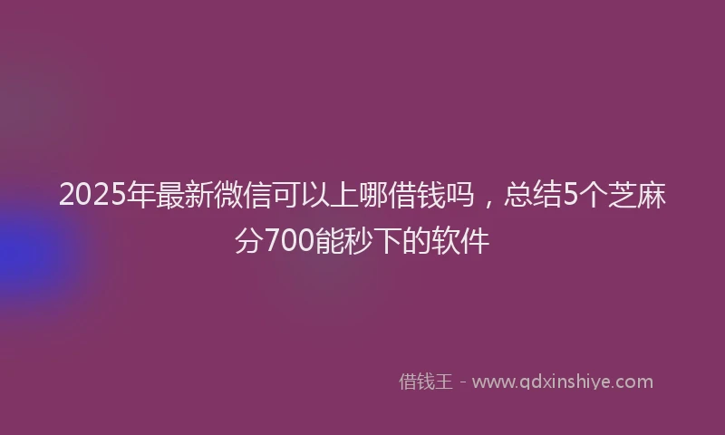 2025年最新微信可以上哪借钱吗，总结5个芝麻分700能秒下的软件