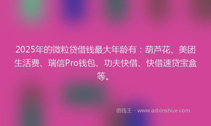 2025年的微粒贷借钱最大年龄有：葫芦花、美团生活费、瑞信Pro钱包、功夫快借、快借速贷宝盒等。