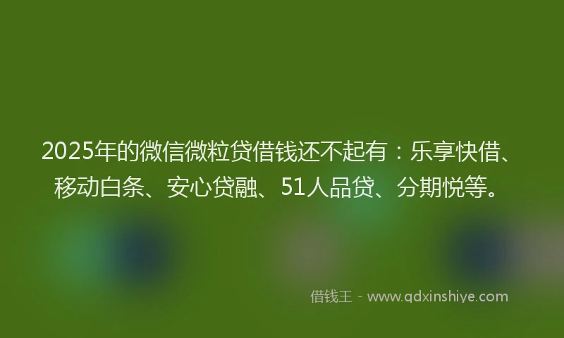 2025年的微信微粒贷借钱还不起有：乐享快借、移动白条、安心贷融、51人品贷、分期悦等。