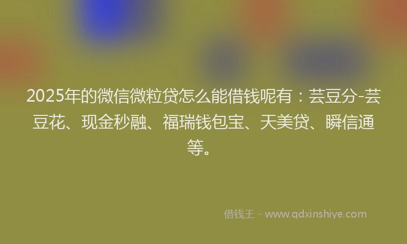 2025年的微信微粒贷怎么能借钱呢有：芸豆分-芸豆花、现金秒融、福瑞钱包宝、天美贷、瞬信通等。