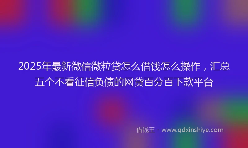 2025年最新微信微粒贷怎么借钱怎么操作，汇总五个不看征信负债的网贷百分百下款平台
