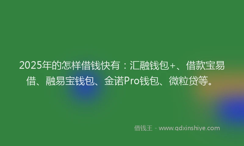 2025年的怎样借钱快有：汇融钱包+、借款宝易借、融易宝钱包、金诺Pro钱包、微粒贷等。