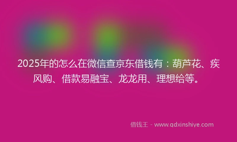 2025年的怎么在微信查京东借钱有：葫芦花、疾风购、借款易融宝、龙龙用、理想给等。