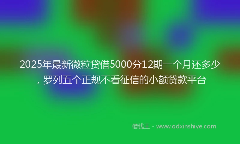 2025年最新微粒贷借5000分12期一个月还多少，罗列五个正规不看征信的小额贷款平台