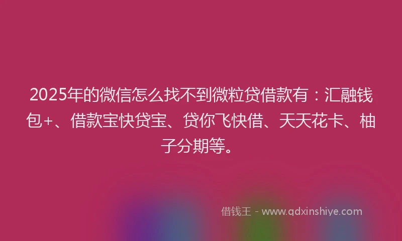 2025年的微信怎么找不到微粒贷借款有：汇融钱包+、借款宝快贷宝、贷你飞快借、天天花卡、柚子分期等。