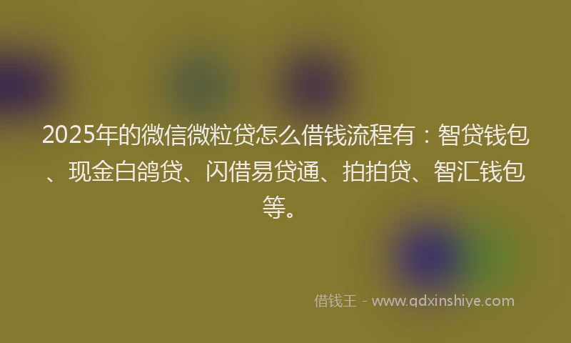 2025年的微信微粒贷怎么借钱流程有：智贷钱包、现金白鸽贷、闪借易贷通、拍拍贷、智汇钱包等。