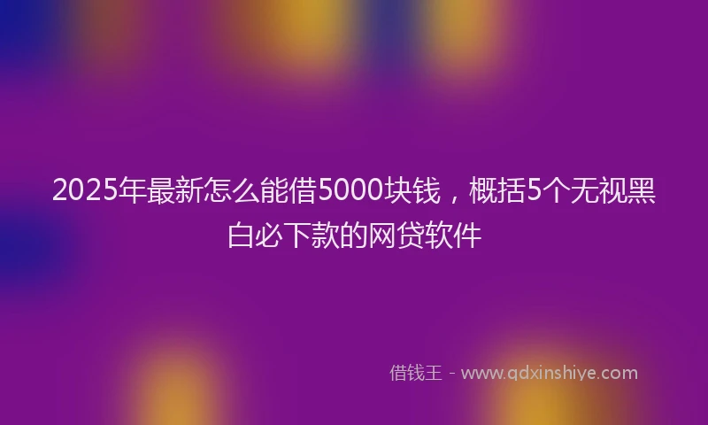 2025年最新怎么能借5000块钱，概括5个无视黑白必下款的网贷软件