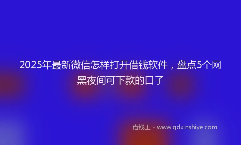 2025年最新微信怎样打开借钱软件，盘点5个网黑夜间可下款的口子