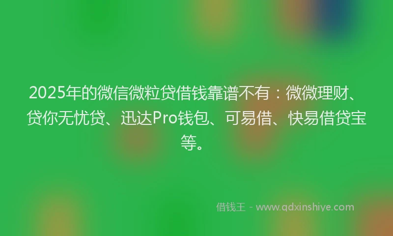 2025年的微信微粒贷借钱靠谱不有：微微理财、贷你无忧贷、迅达Pro钱包、可易借、快易借贷宝等。