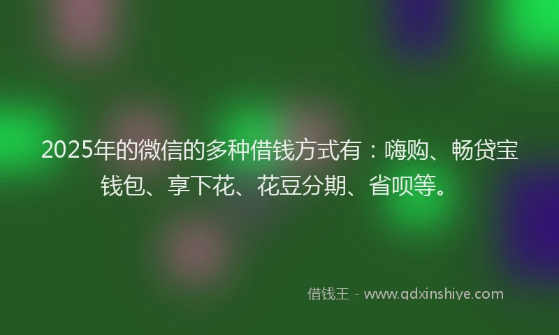 2025年的微信的多种借钱方式有：嗨购、畅贷宝钱包、享下花、花豆分期、省呗等。