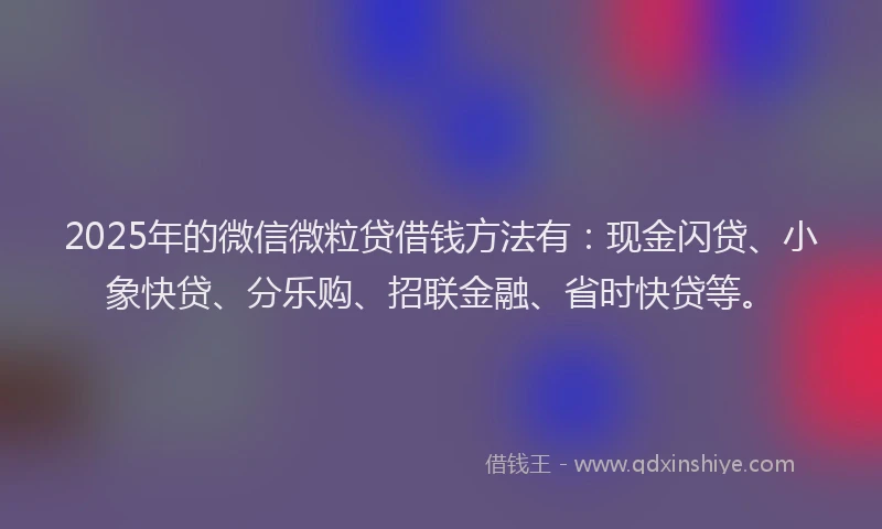 2025年的微信微粒贷借钱方法有：现金闪贷、小象快贷、分乐购、招联金融、省时快贷等。
