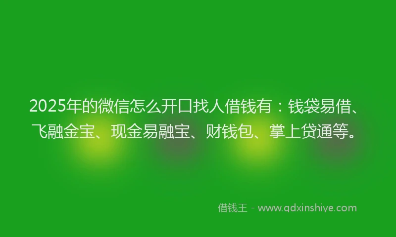 2025年的微信怎么开口找人借钱有：钱袋易借、飞融金宝、现金易融宝、财钱包、掌上贷通等。