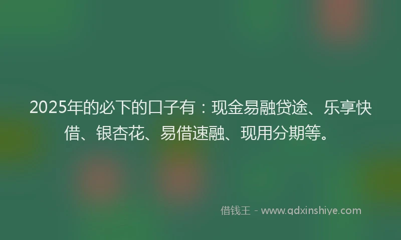 2025年的必下的口子有：现金易融贷途、乐享快借、银杏花、易借速融、现用分期等。