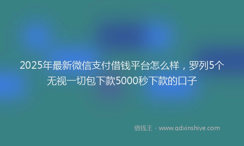 2025年最新微信支付借钱平台怎么样，罗列5个无视一切包下款5000秒下款的口子