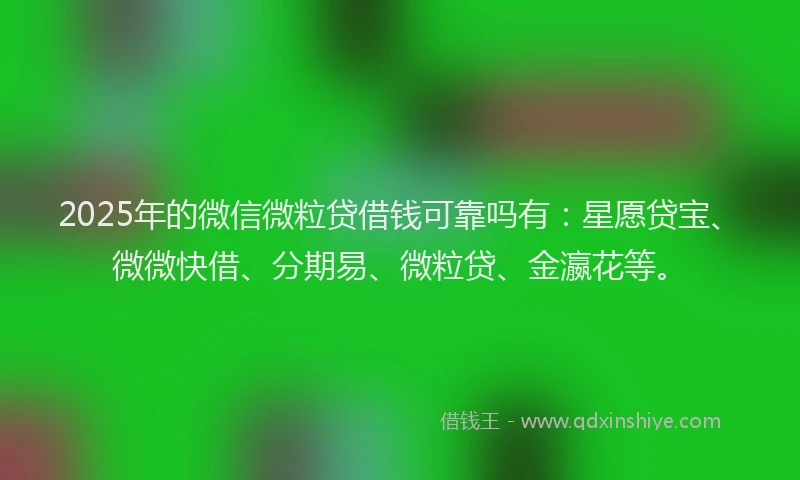 2025年的微信微粒贷借钱可靠吗有：星愿贷宝、微微快借、分期易、微粒贷、金瀛花等。