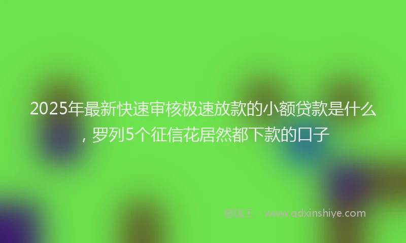 2025年最新快速审核极速放款的小额贷款是什么，罗列5个征信花居然都下款的口子